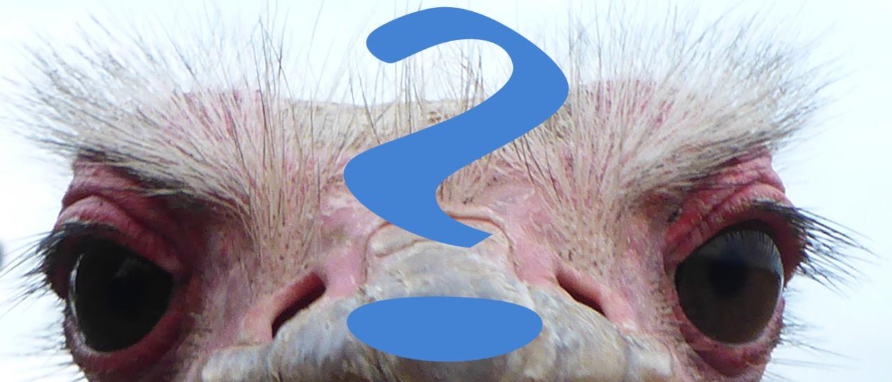 FAQs FAQs